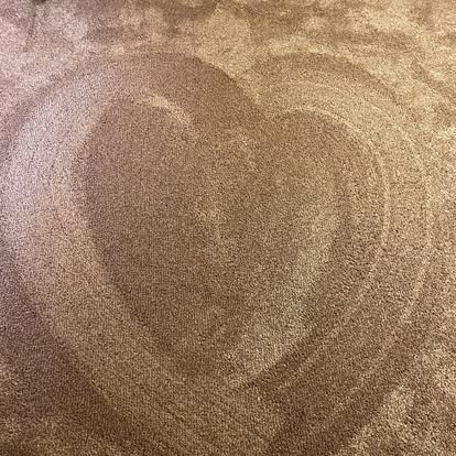 Heart-shaped vacuum pattern in plush carpet